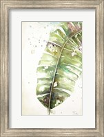 Watercolor Plantain Leaves II Fine Art Print