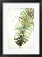 Watercolor Plantain Leaves II Framed Print