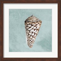 Modern Shell on Teal II Fine Art Print