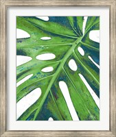 Tropical Leaf with Blue I Fine Art Print