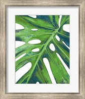 Tropical Leaf with Blue I Fine Art Print