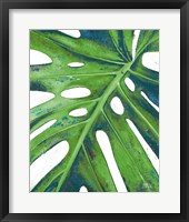 Tropical Leaf with Blue I Framed Print
