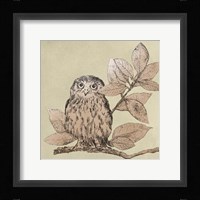 Neutral Little Owls I Framed Print