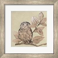 Neutral Little Owls I Fine Art Print
