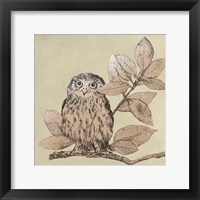 Neutral Little Owls I Framed Print