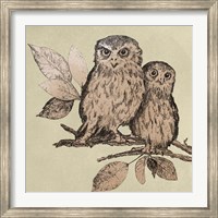 Neutral Little Owls II Fine Art Print