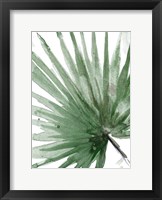 Palma Verde Close Up Framed Print
