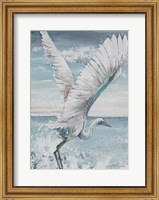 Great Egret Flying Fine Art Print