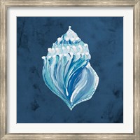 Azul Dotted Seashell on Navy II Fine Art Print