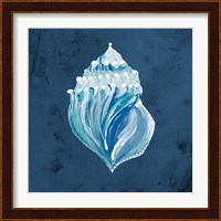 Azul Dotted Seashell on Navy II Fine Art Print