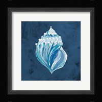 Azul Dotted Seashell on Navy II Fine Art Print