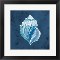 Azul Dotted Seashell on Navy II Framed Print