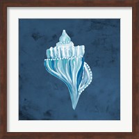 Azul Dotted Seashell on Navy I Fine Art Print