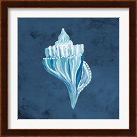 Azul Dotted Seashell on Navy I Fine Art Print