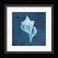 Azul Dotted Seashell on Navy I Framed Print