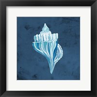 Azul Dotted Seashell on Navy I Framed Print