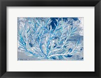 Azul Dotted Coral Horizontal Fine Art Print