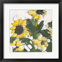 Sunflower Garden Fine Art Print