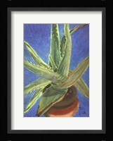 Aloe Vera Fine Art Print