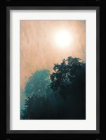 Jungle Canopy At Sunset Fine Art Print