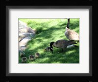 Family Time Fine Art Print