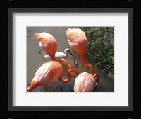 It's Here Somewhere Fine Art Print