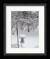 No Birds Today Fine Art Print