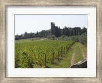 Tuscany 1 Fine Art Print