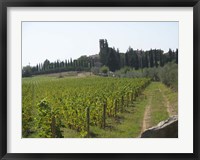 Tuscany 1 Fine Art Print