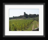 Tuscany 1 Fine Art Print