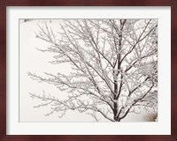Winter Serenity Fine Art Print
