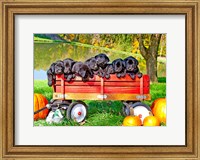 8 Lab Puppies Fine Art Print