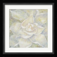 E-Motion Gardenia Framed Print