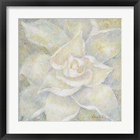 E-Motion Gardenia Framed Print