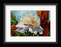 Lean On Me copy Fine Art Print