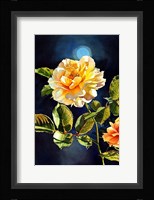 Once in a Blue Moon Fine Art Print