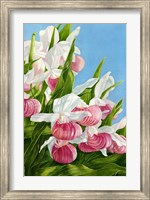 Pink Lady Slipper Flowers Fine Art Print