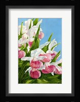 Pink Lady Slipper Flowers Fine Art Print