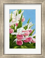 Pink Lady Slipper Flowers Fine Art Print