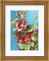 Red Holly Fine Art Print