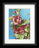 Red Holly Fine Art Print