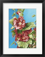 Red Holly Fine Art Print
