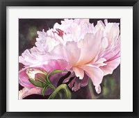 SumHom Fine Art Print