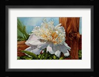 White Flower Fine Art Print