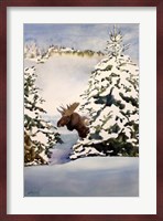 Moose Moment Fine Art Print