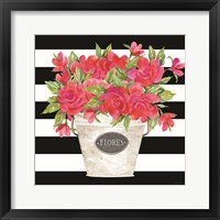 Fuchsia Flores Stripes Framed Print