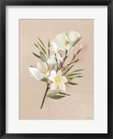 Spring Magnolias Fine Art Print
