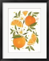 Citrus Orange Botanical Fine Art Print