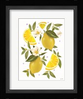 Citrus Lemon Botanical Framed Print