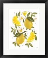 Citrus Lemon Botanical Framed Print